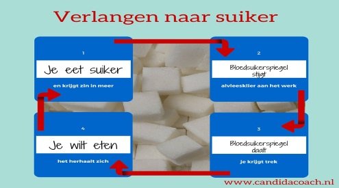 www.candidacoach.nl verlangen naar suiker